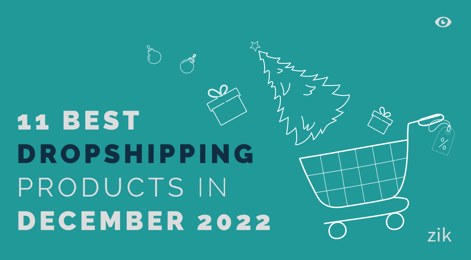 11 Best Dropshipping Products in December 2022